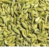 Kashmiri Fennel  seeds